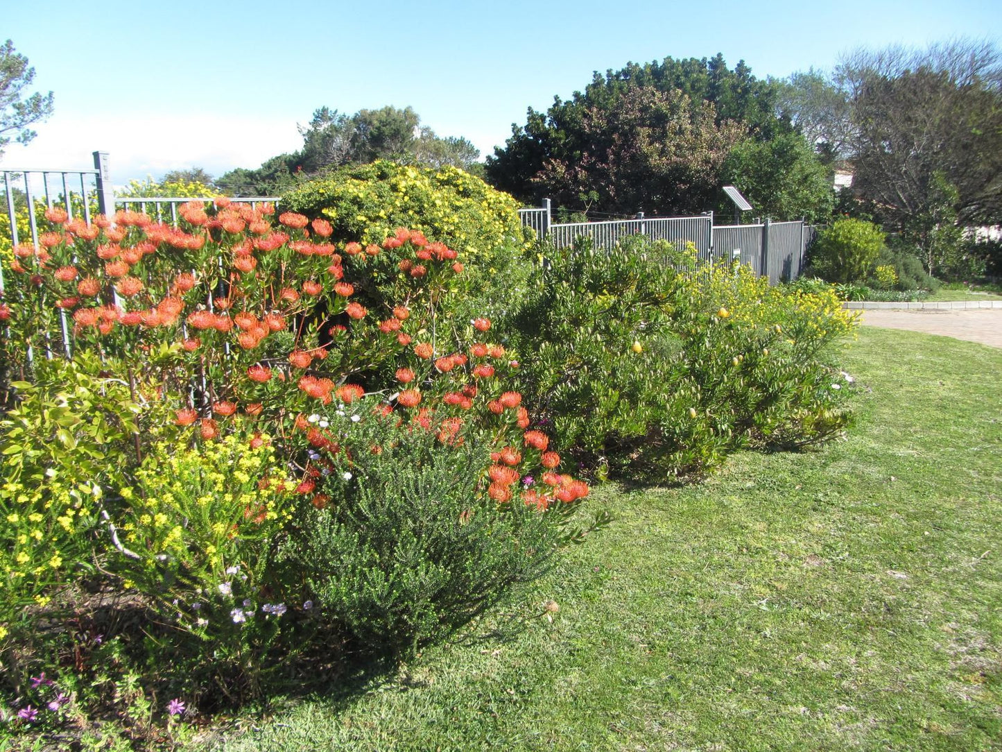 Fernkloof Lodge Fernkloof Hermanus Western Cape South Africa Plant, Nature, Garden