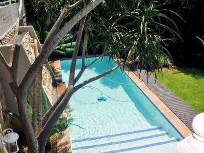 Fever Tree Manor Kosmos Hartbeespoort North West Province South Africa Garden, Nature, Plant, Swimming Pool