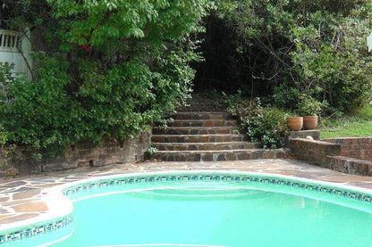 Fiddler S Green Bandb Paradise Knysna Western Cape South Africa Garden, Nature, Plant, Swimming Pool