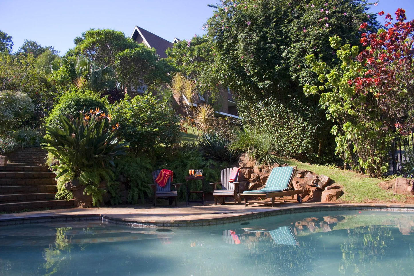 Fiddlers Rest Morningside Durban Kwazulu Natal South Africa Palm Tree, Plant, Nature, Wood, Garden, Swimming Pool