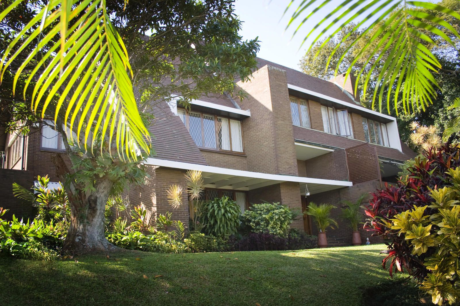 Fiddlers Rest Morningside Durban Kwazulu Natal South Africa Building, Architecture, House, Palm Tree, Plant, Nature, Wood