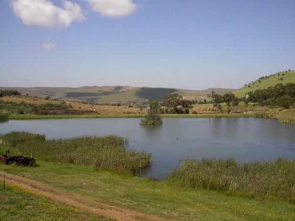Field And Stream Dullstroom Mpumalanga South Africa Complementary Colors, Lake, Nature, Waters, River, Framing, Highland, Lowland