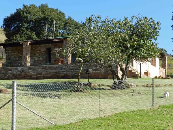 Field And Stream Dullstroom Mpumalanga South Africa Tree, Plant, Nature, Wood