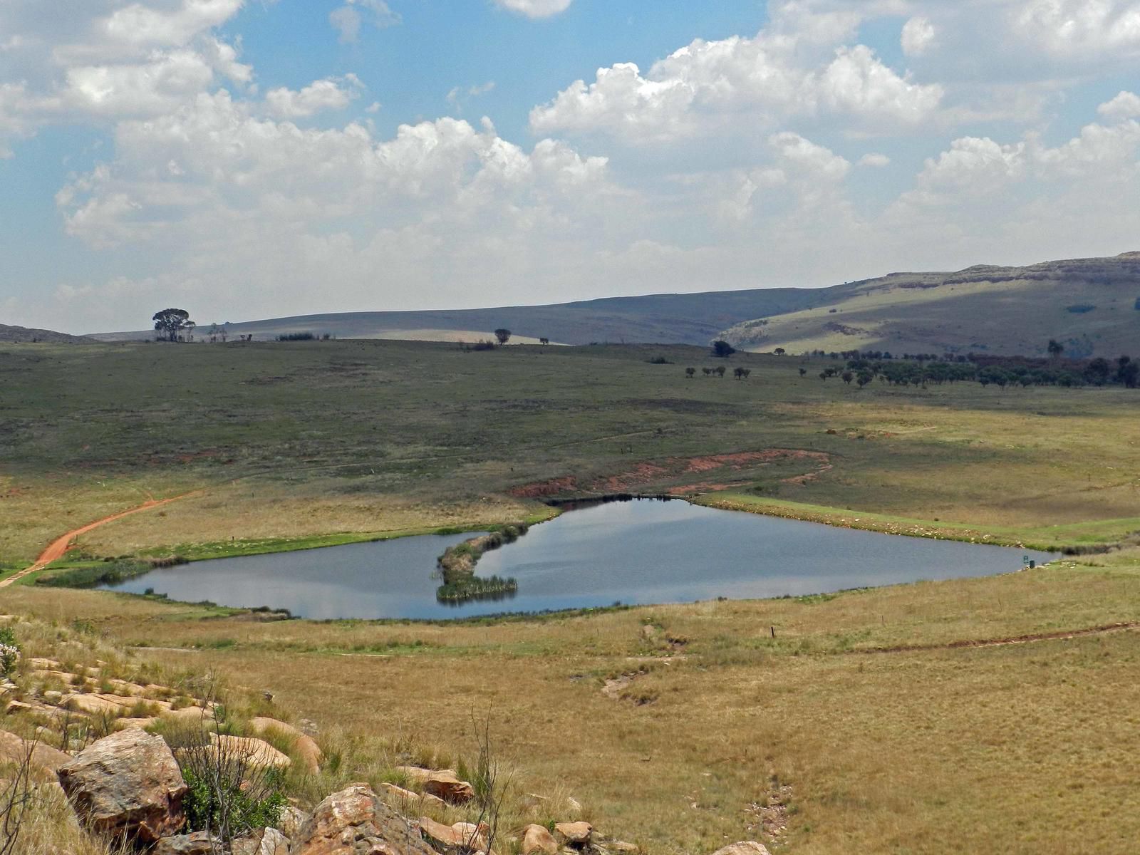 Field And Stream Dullstroom Mpumalanga South Africa Highland, Nature, Lowland