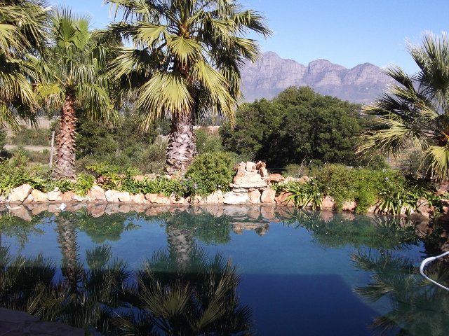 Fields Of Gold Cottages Paarl Western Cape South Africa Complementary Colors, Palm Tree, Plant, Nature, Wood, Garden, Swimming Pool