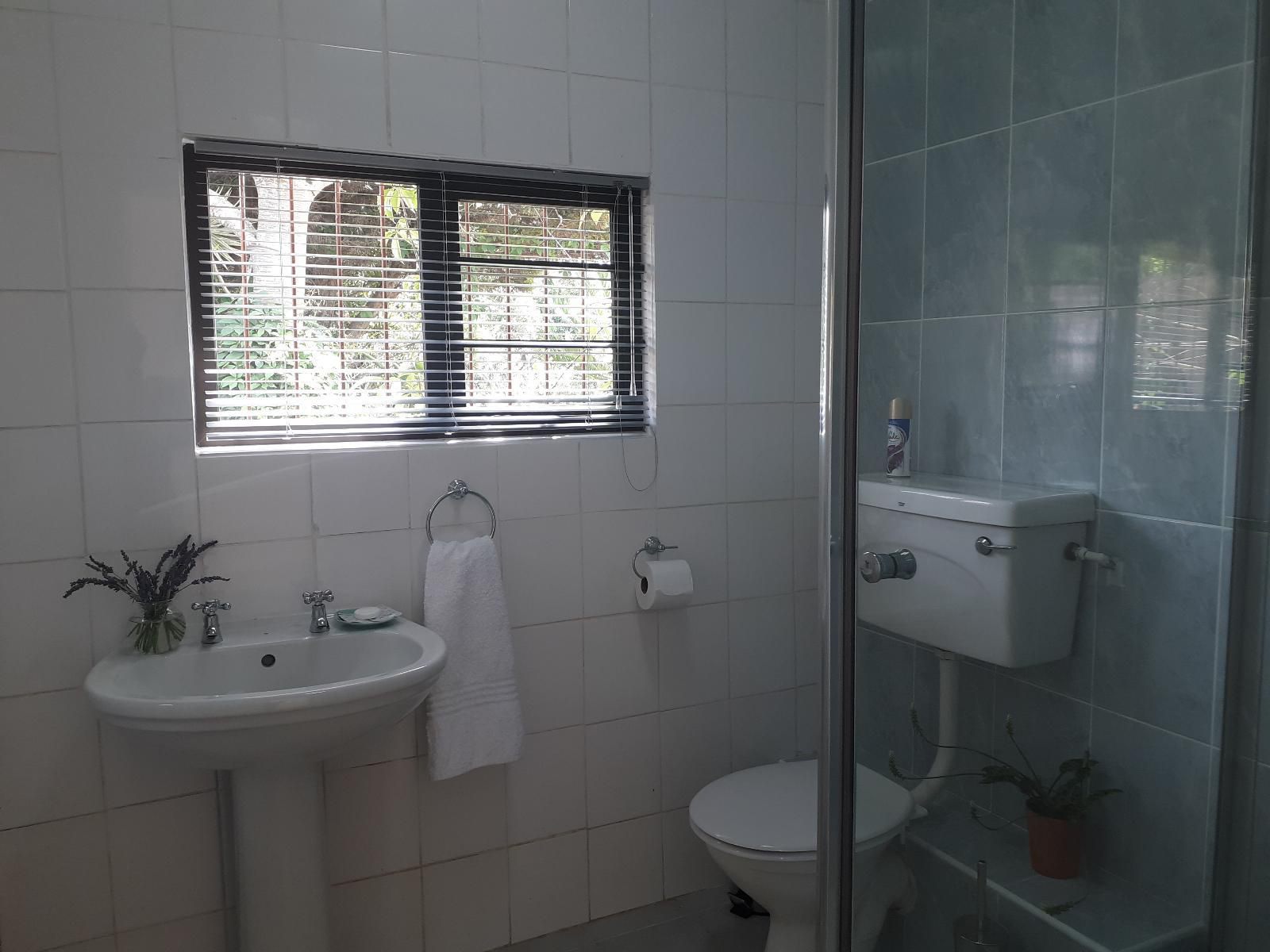 Field S Rest Walmer Port Elizabeth Eastern Cape South Africa Unsaturated, Bathroom