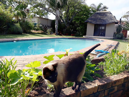 Field S Rest Walmer Port Elizabeth Eastern Cape South Africa Palm Tree, Plant, Nature, Wood, Animal, Swimming Pool