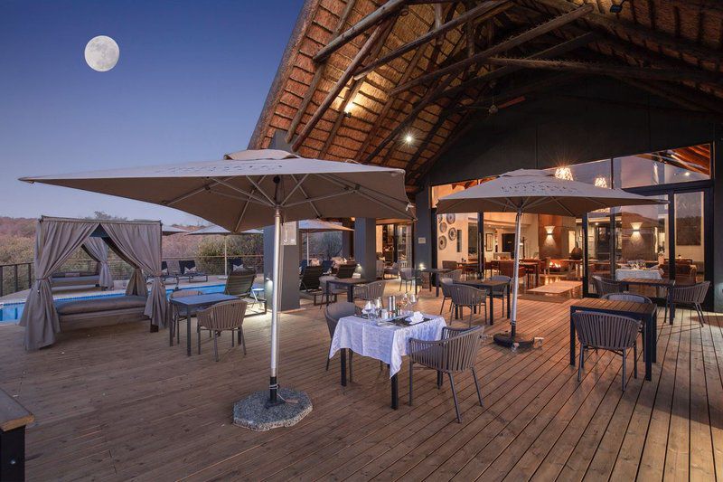 57 Waterberg Welgevonden Game Reserve Limpopo Province South Africa Bar