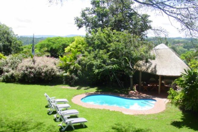 Figtree Lodge Southbroom Kwazulu Natal South Africa Garden, Nature, Plant, Swimming Pool