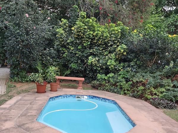 Fig Tree Manor Blythedale Beach Kwazulu Natal South Africa Garden, Nature, Plant, Swimming Pool