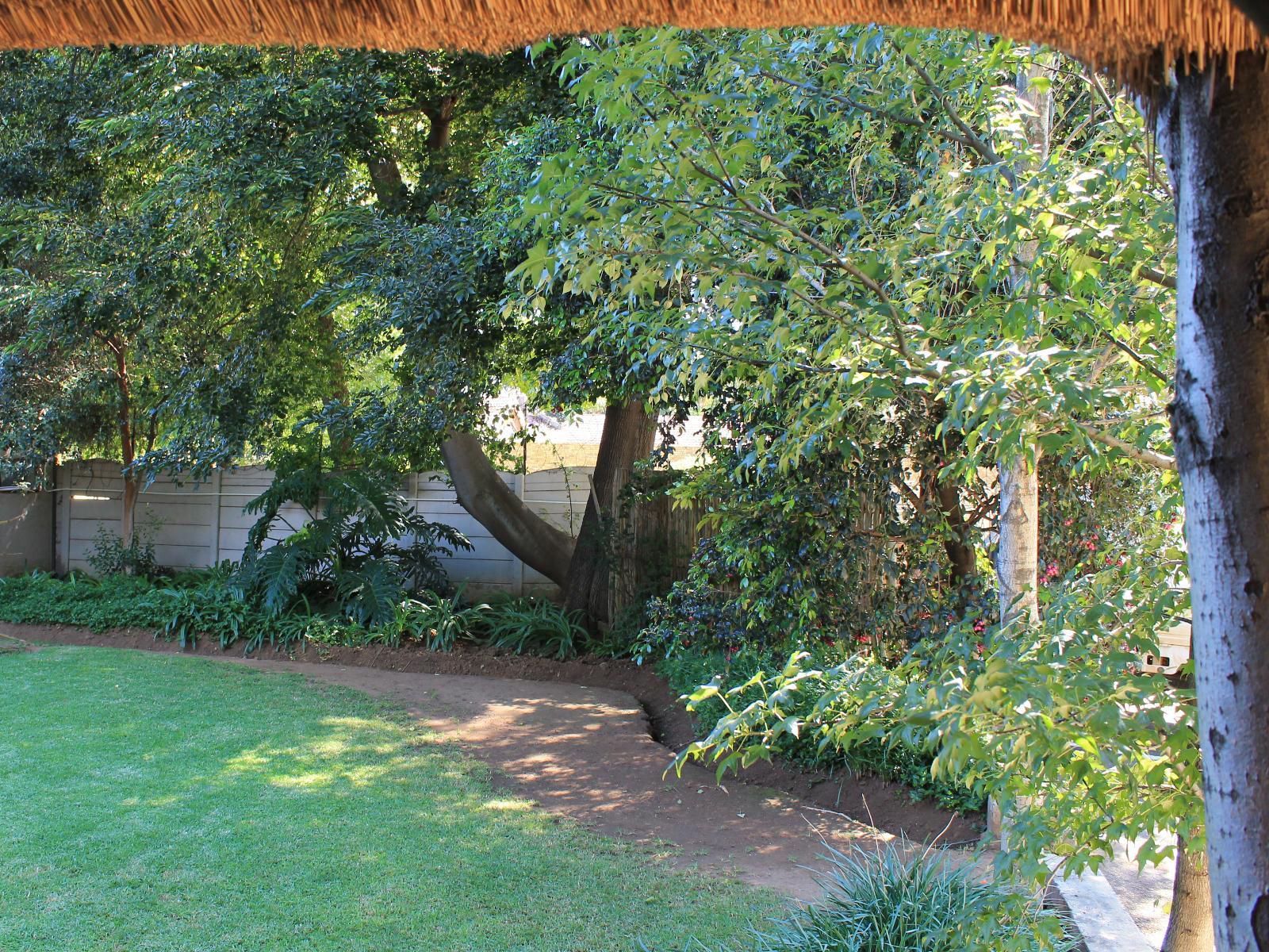 Fin And Feather Guest Lodge Boksburg Johannesburg Gauteng South Africa Plant, Nature, Tree, Wood, Garden