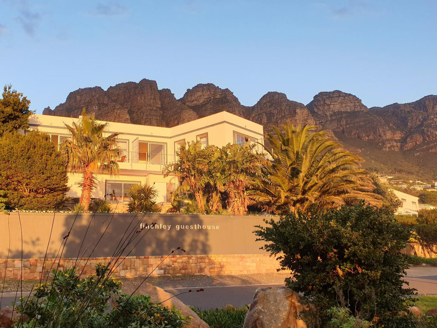 Finchley House Camps Bay Cape Town Western Cape South Africa Complementary Colors, Colorful, Palm Tree, Plant, Nature, Wood