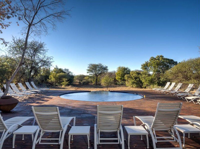 Finfoot Lake Reserve Beestekraal North West Province South Africa Swimming Pool