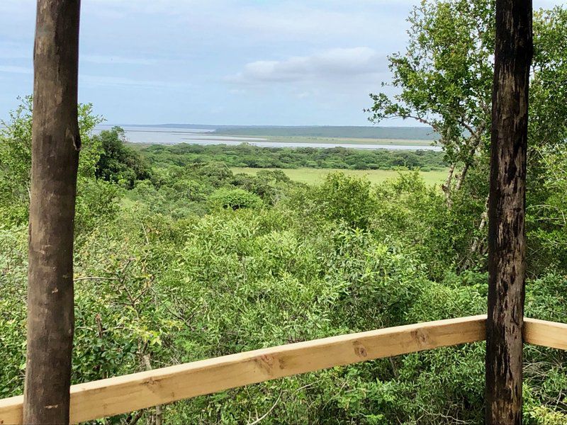 Firefly Farm Cabin Hluhluwe Kwazulu Natal South Africa Complementary Colors, Beach, Nature, Sand