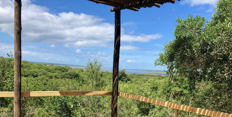 Firefly Farm Cabin Hluhluwe Kwazulu Natal South Africa Complementary Colors, Beach, Nature, Sand