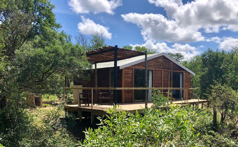 Firefly Farm Cabin Hluhluwe Kwazulu Natal South Africa Complementary Colors