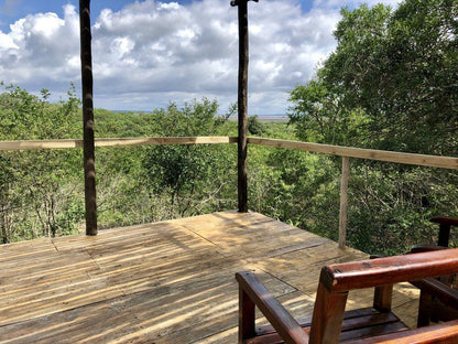 Firefly Farm Cabin Hluhluwe Kwazulu Natal South Africa Complementary Colors