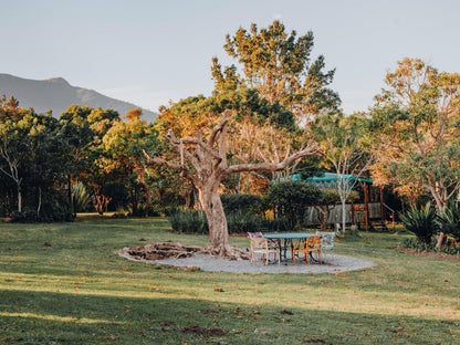 Forest Glamping @ Firefly Falls