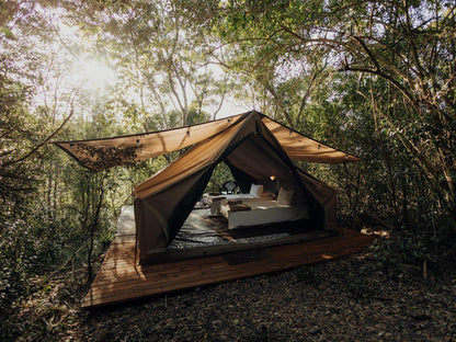 Forest Glamping @ Firefly Falls