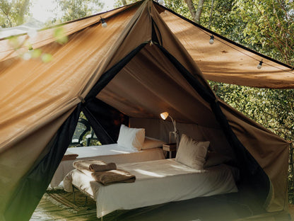 Forest Glamping @ Firefly Falls