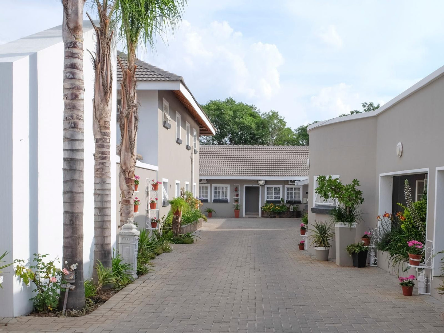 Firwood Lodge Hazelwood Pretoria Tshwane Gauteng South Africa House, Building, Architecture, Palm Tree, Plant, Nature, Wood