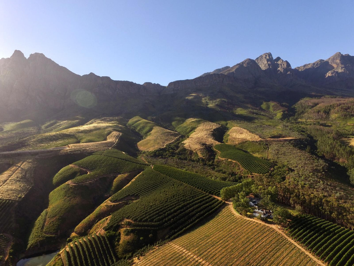 Fisaasbos Tulbagh Western Cape South Africa Complementary Colors