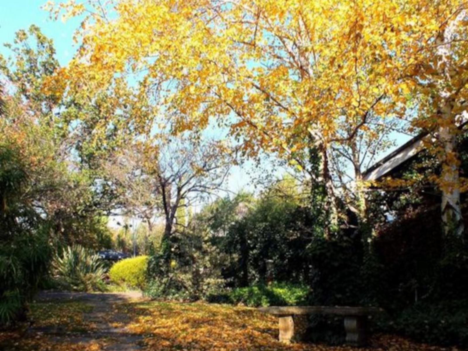 Fisant Bokmakierie And Hoephoep Guesthouse Bethlehem Free State South Africa Plant, Nature, Tree, Wood, Autumn, Garden