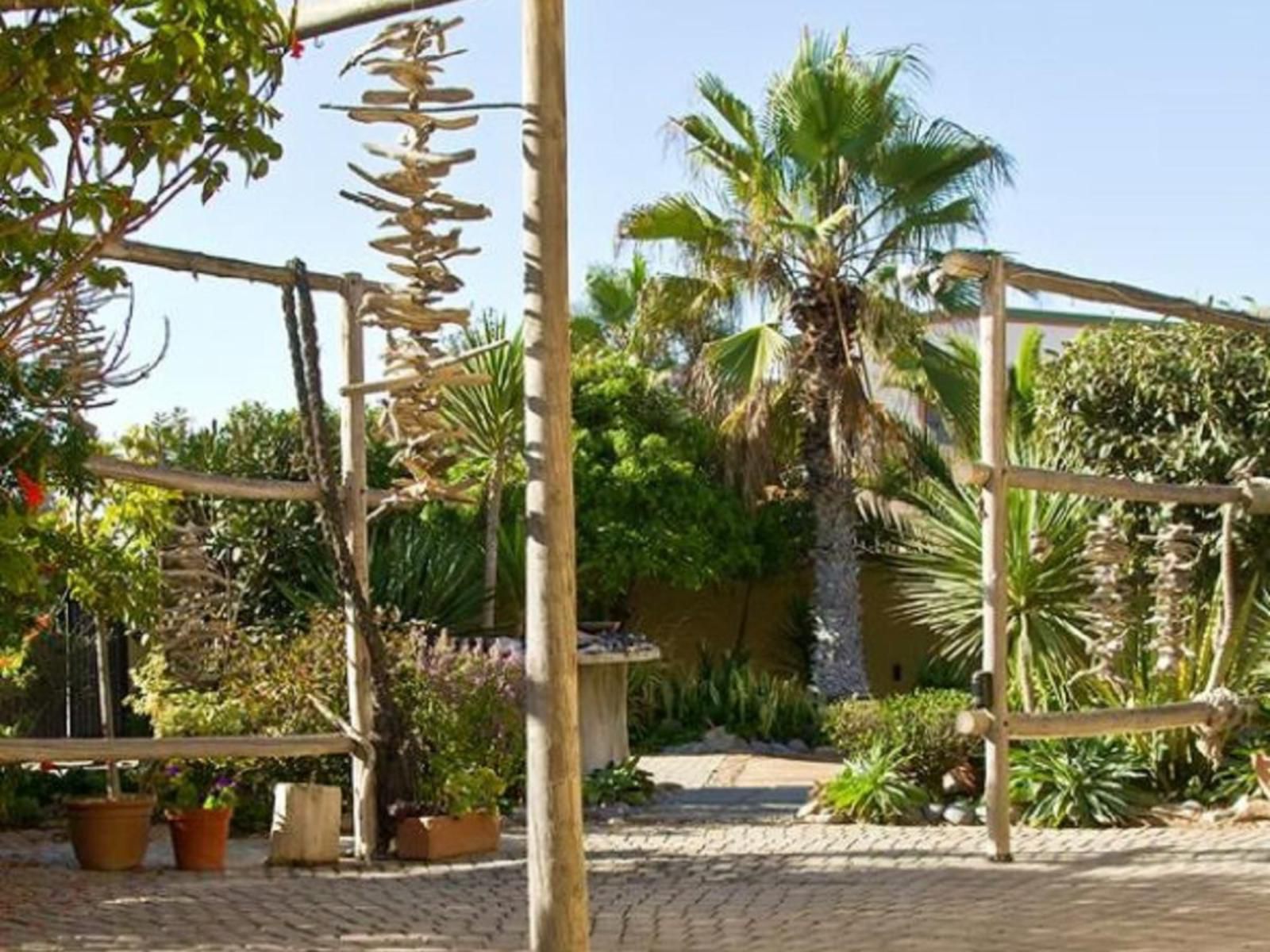 Fischreiher Guest House, Palm Tree, Plant, Nature, Wood