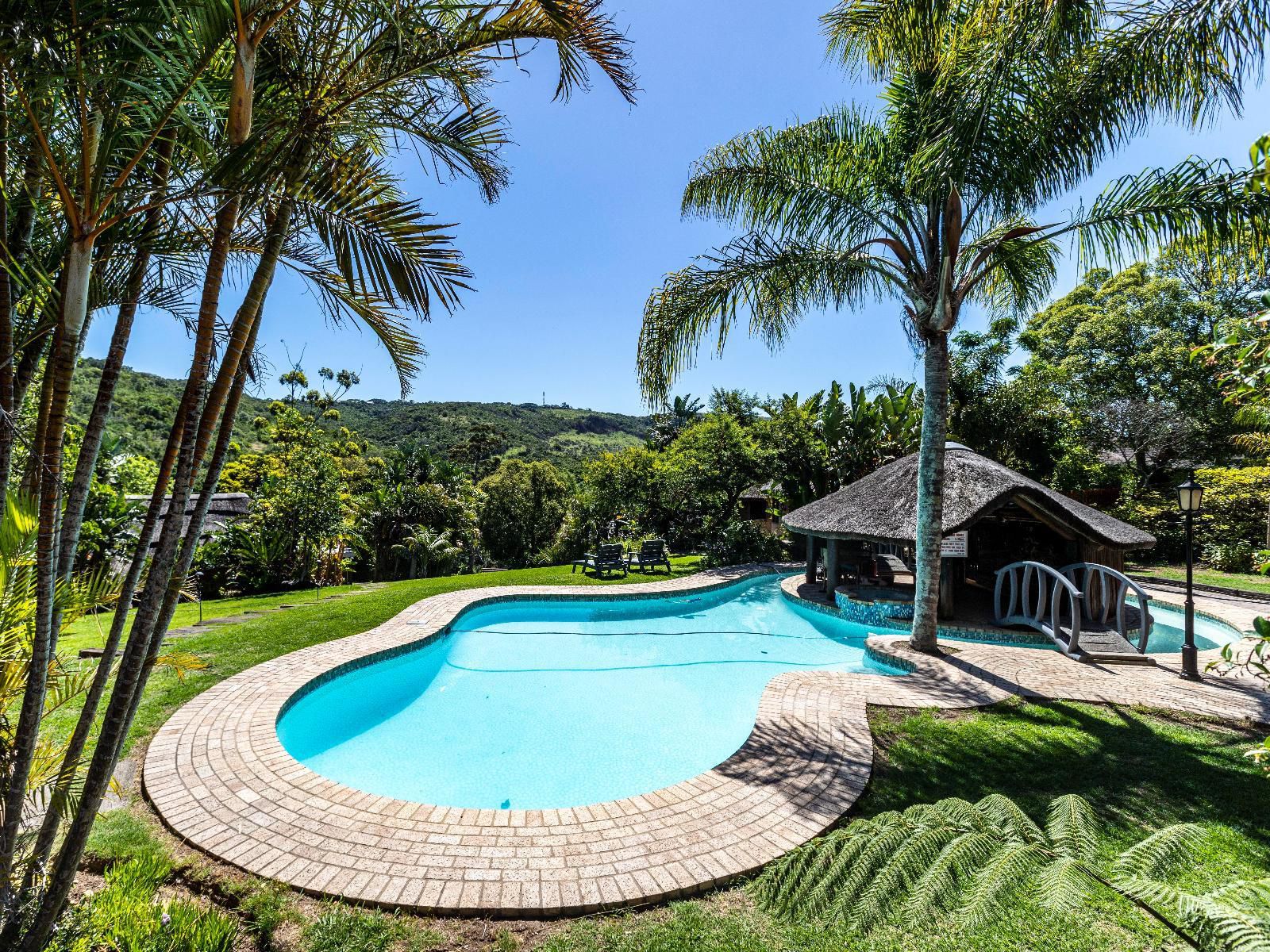 Fish Eagle Manor Abbotsford El East London Eastern Cape South Africa Complementary Colors, Palm Tree, Plant, Nature, Wood, Garden, Swimming Pool