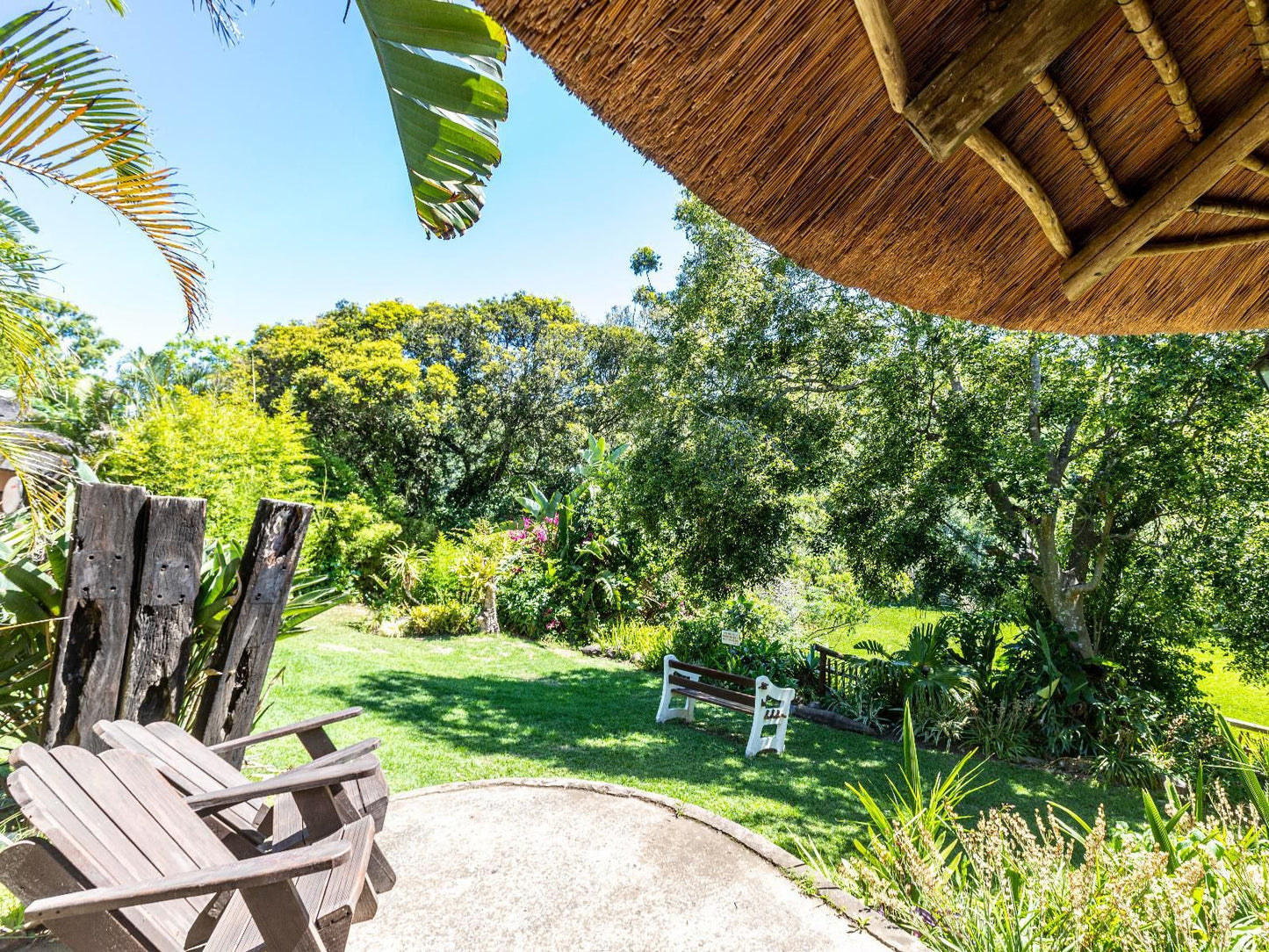 Fish Eagle Manor Abbotsford El East London Eastern Cape South Africa Palm Tree, Plant, Nature, Wood, Garden