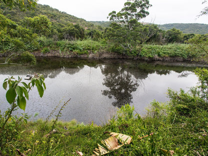 Fish Eagle Manor Abbotsford El East London Eastern Cape South Africa River, Nature, Waters, Tree, Plant, Wood