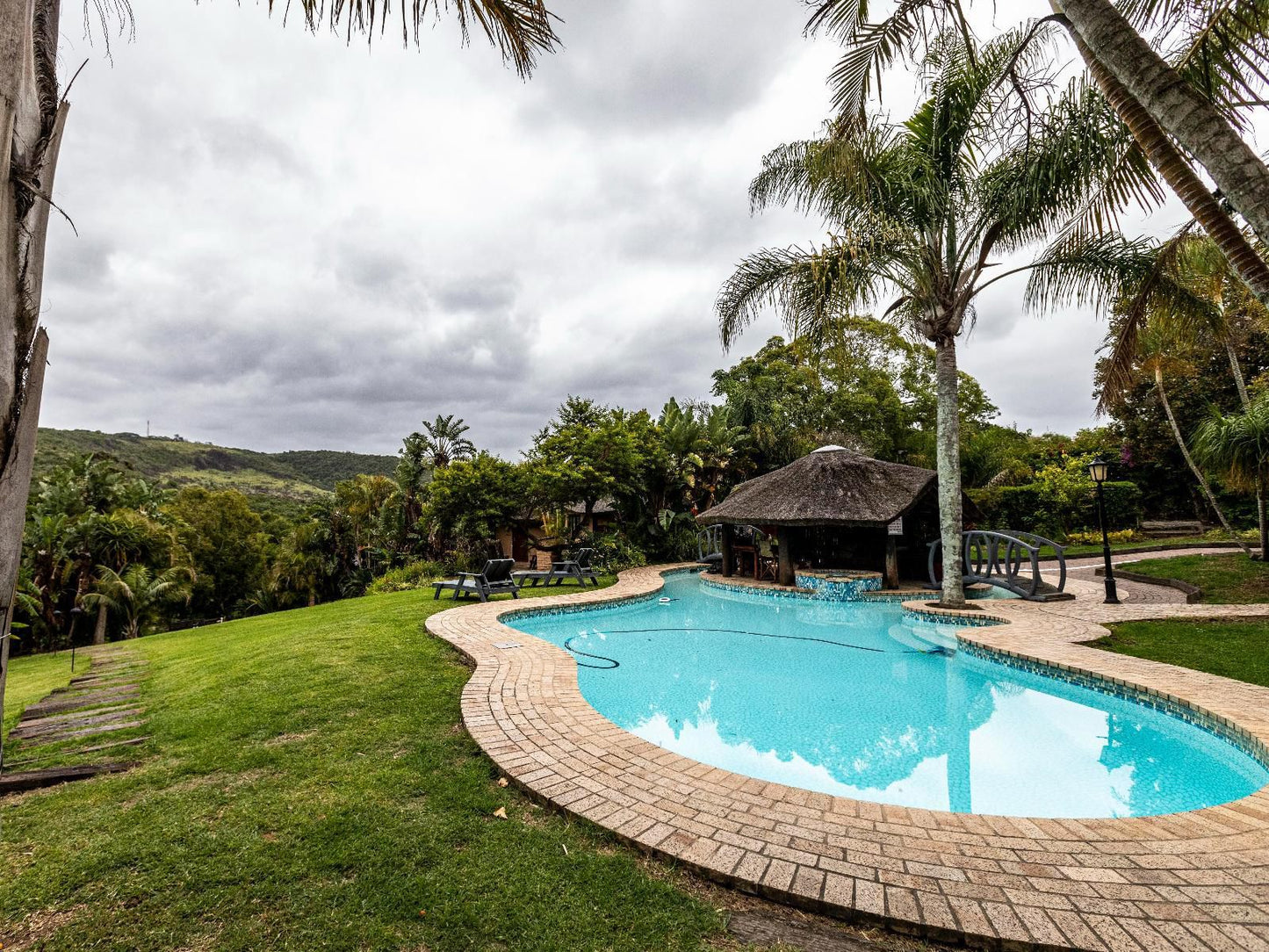 Fish Eagle Manor Abbotsford El East London Eastern Cape South Africa Palm Tree, Plant, Nature, Wood, Swimming Pool