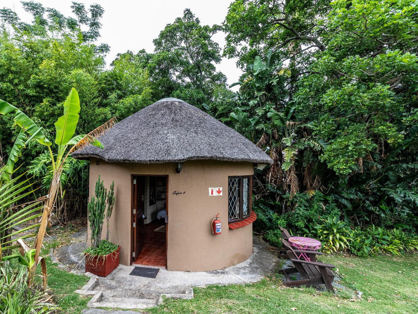 Fish Eagle Manor Abbotsford El East London Eastern Cape South Africa Palm Tree, Plant, Nature, Wood