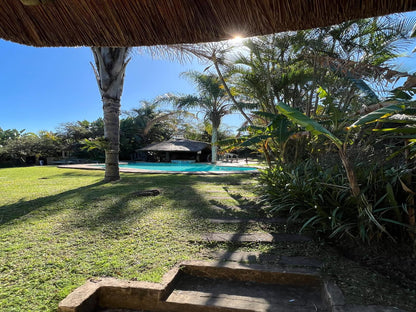 Fish Eagle Manor Abbotsford El East London Eastern Cape South Africa Beach, Nature, Sand, Palm Tree, Plant, Wood