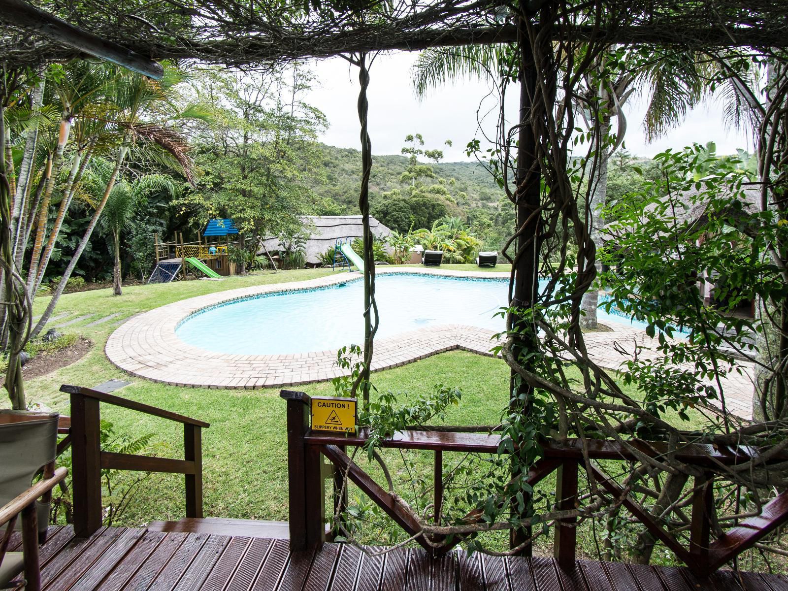 Fish Eagle Manor Abbotsford El East London Eastern Cape South Africa Palm Tree, Plant, Nature, Wood, Swimming Pool