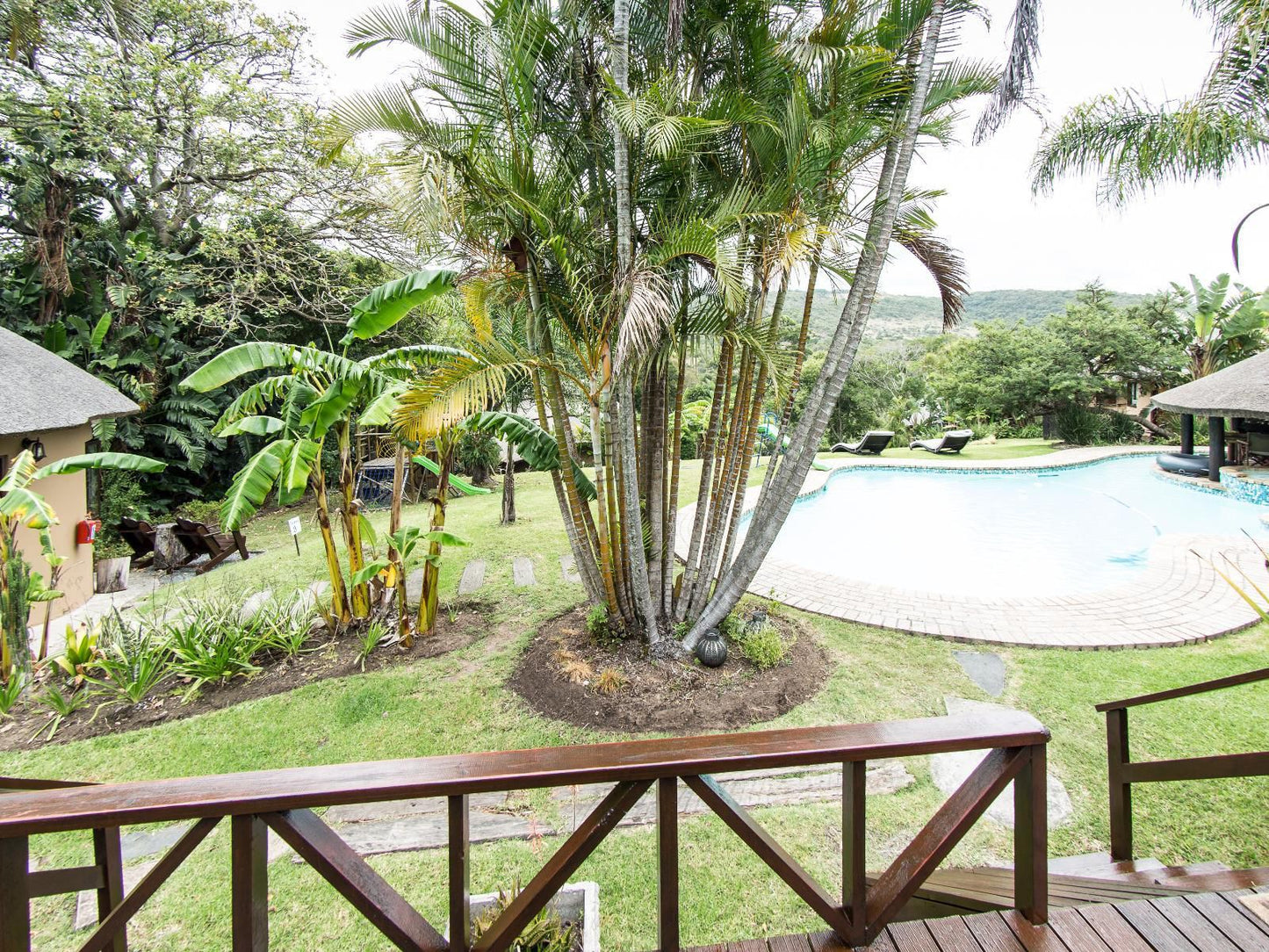 Fish Eagle Manor Abbotsford El East London Eastern Cape South Africa Palm Tree, Plant, Nature, Wood, Garden, Swimming Pool