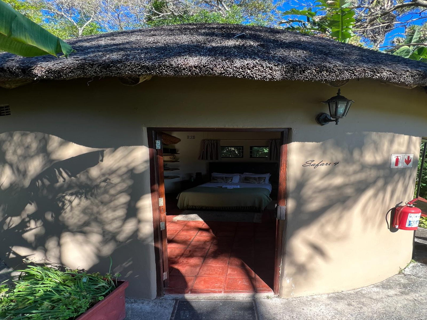 Safari 4 Standard Room with Pool View @ Fish Eagle Manor