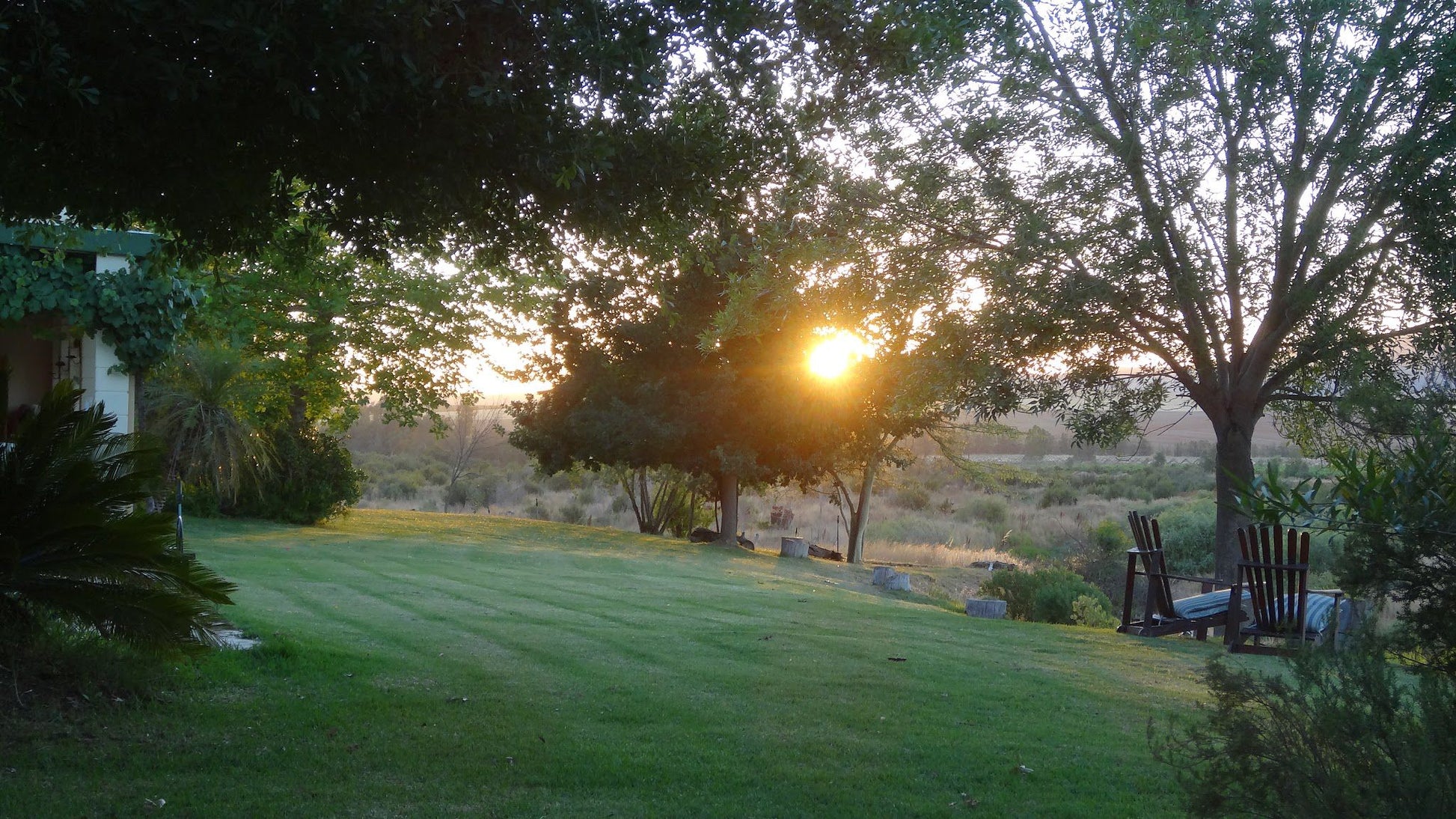 Fish Eagle River Lodge Hermon Western Cape South Africa Nature