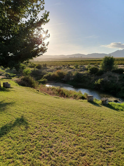 Fish Eagle River Lodge Hermon Western Cape South Africa 