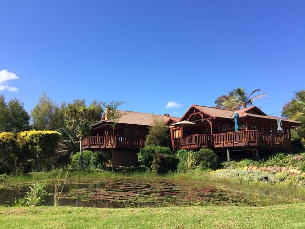 Fish Eagle Lodge Welbedacht Knysna Knysna Western Cape South Africa Complementary Colors, Palm Tree, Plant, Nature, Wood