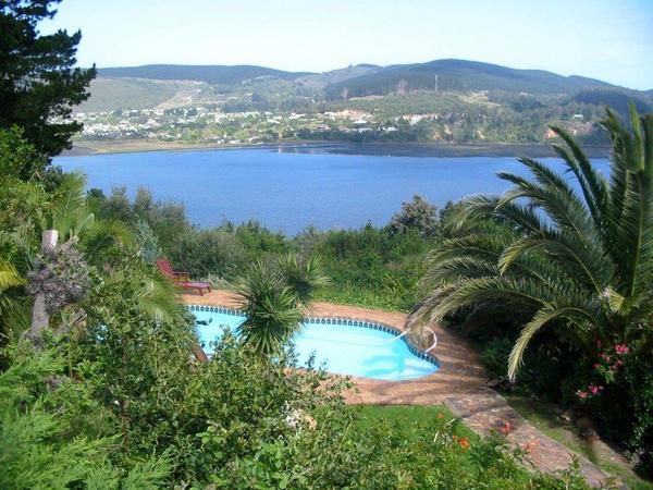 Fish Eagle Lodge Welbedacht Knysna Knysna Western Cape South Africa Complementary Colors, Beach, Nature, Sand, Lake, Waters, Palm Tree, Plant, Wood, Garden, Swimming Pool