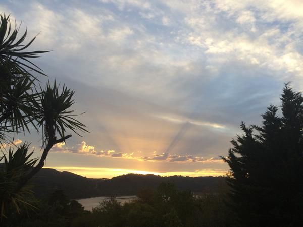 Fish Eagle Lodge Welbedacht Knysna Knysna Western Cape South Africa Palm Tree, Plant, Nature, Wood, Sky, Clouds, Framing, Sunset