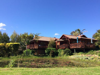 Bateleur @ Fish Eagle Lodge