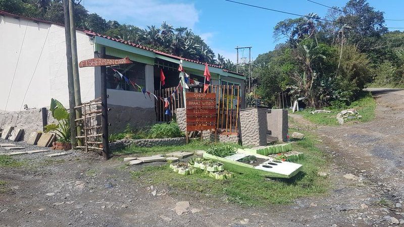 Fisherman S Cave Port St Johns Eastern Cape South Africa Flag, Palm Tree, Plant, Nature, Wood, Ruin, Architecture