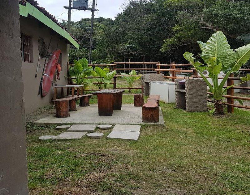 Fisherman S Cave Port St Johns Eastern Cape South Africa Palm Tree, Plant, Nature, Wood