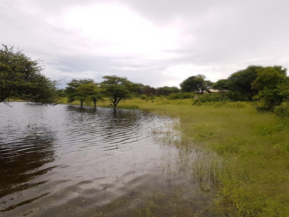 Fiume Bush Camp, River, Nature, Waters