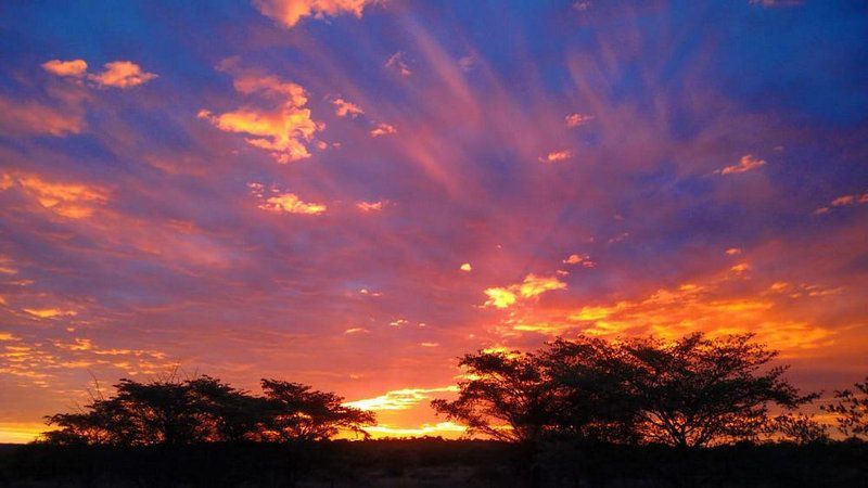 Five Pebbles On Piece Of Africa Dinokeng Gauteng South Africa Complementary Colors, Sky, Nature, Sunset