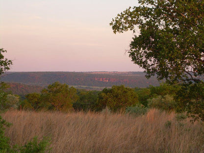 Five Pebbles On Piece Of Africa Dinokeng Gauteng South Africa Lowland, Nature