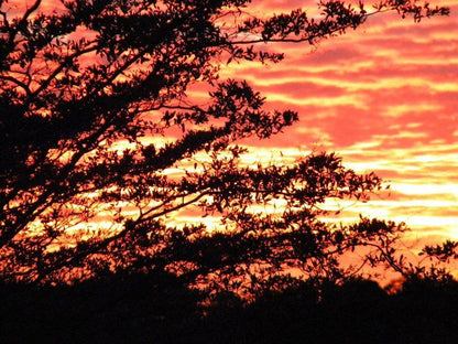 Five Pebbles On Piece Of Africa Dinokeng Gauteng South Africa Colorful, Sky, Nature, Sunset