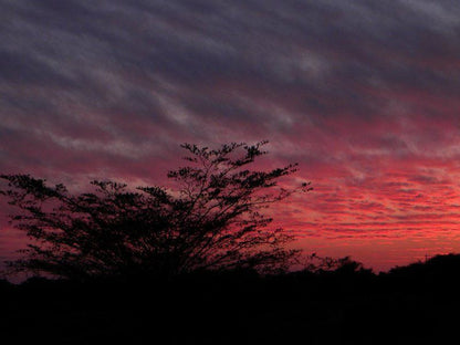 Five Pebbles On Piece Of Africa Dinokeng Gauteng South Africa Sky, Nature, Sunset